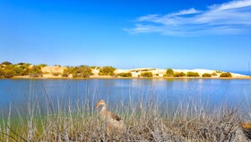 Apartamentos Los Cocoteros