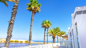 Apartamentos Los Cocoteros