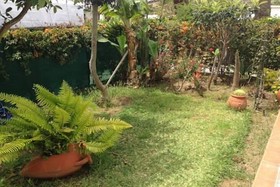 Beach Flor Bungalows