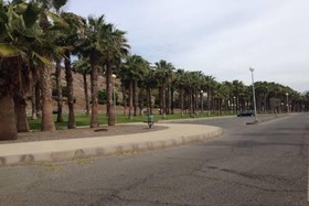 Beach Flor Bungalows