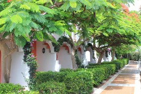 Bungalows Cordial Green Golf