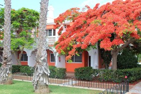 Bungalows Cordial Green Golf