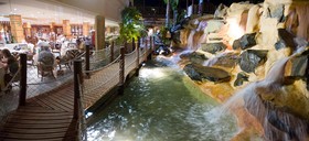 Maspalomas Princess & Tabaiba Princess