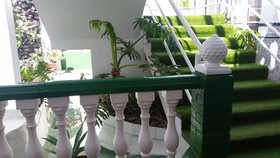 Vista Oasis Bungalows