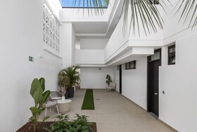 Palmera Sea View