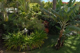 Apartamentos Nogalera