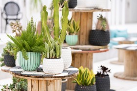 Hotel Gold by Marina