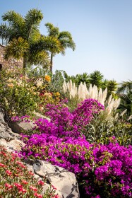 Casa León Royal Retreat