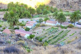 EcoTara Canary Islands