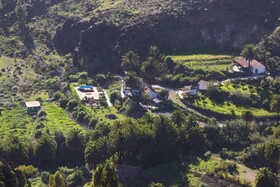 EcoTara Canary Islands