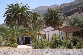 EcoTara Canary Islands