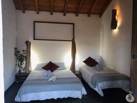 EcoTara Canary Islands