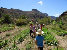 EcoTara Canary Islands