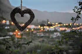 EcoTara Canary Islands