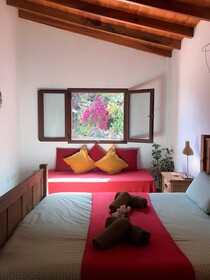 EcoTara Canary Islands