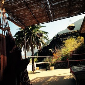 EcoTara Canary Islands