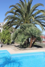 Villa Teresita High Views