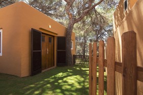 Fergus Style Punta Arabi