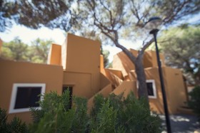 Fergus Style Punta Arabi