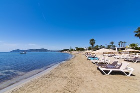 Fergus Style Punta Arabi