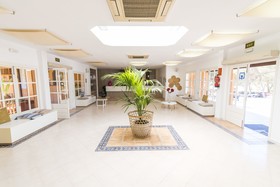 Fergus Style Punta Arabi