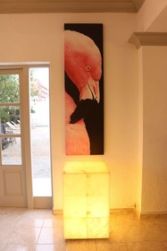 Hostal Flamingo