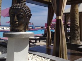 Jacaranda Apartments