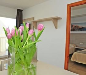 Apartamentos Malacosta