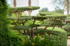 Can Jaume by Ocean Drive