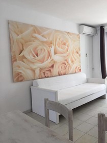 All Suite Ibiza Aparthotel