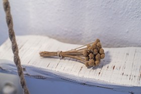 Agroturismo Can Cosmi Prats