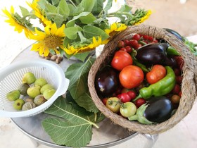 Es Mirador de Can Prats