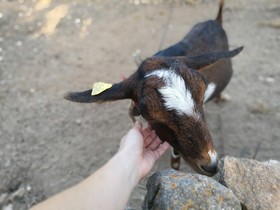 Es Mirador de Can Prats