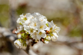 Es Mirador de Can Prats