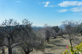 Es Mirador de Can Prats