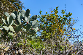 Es Mirador de Can Prats