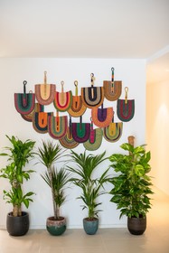 The Olive Boutique Suites and Spa