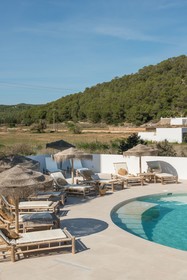 The Olive Boutique Suites and Spa