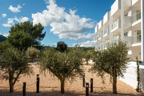 The Olive Boutique Suites and Spa