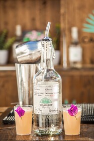 Ocean Drive Talamanca