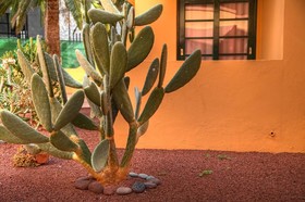 Complejo Las Tres Palmeras