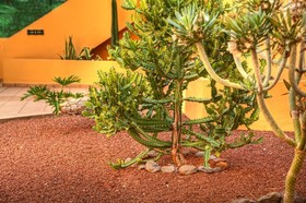 Complejo Las Tres Palmeras