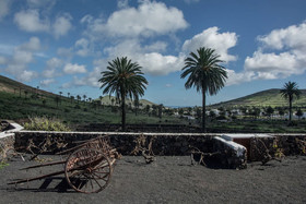 Finca La Picolisima