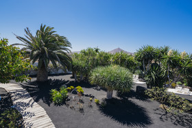 Hotel EL GRIFO