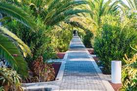 HL Rio Playa Blanca Hotel