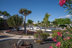 Jardines del Sol