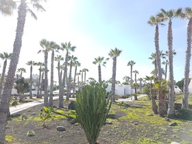 Palmeras Garden