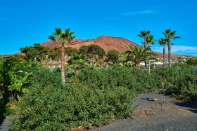 Hipotels Natura Palace