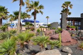 VIK Coral Beach