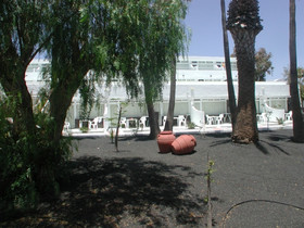 Arena Dorada Apartments
